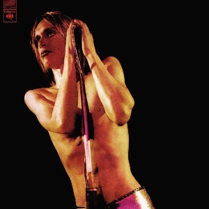 Iggy And The Stooges - Raw Power