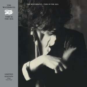 The Waterboys - This Is The Sea